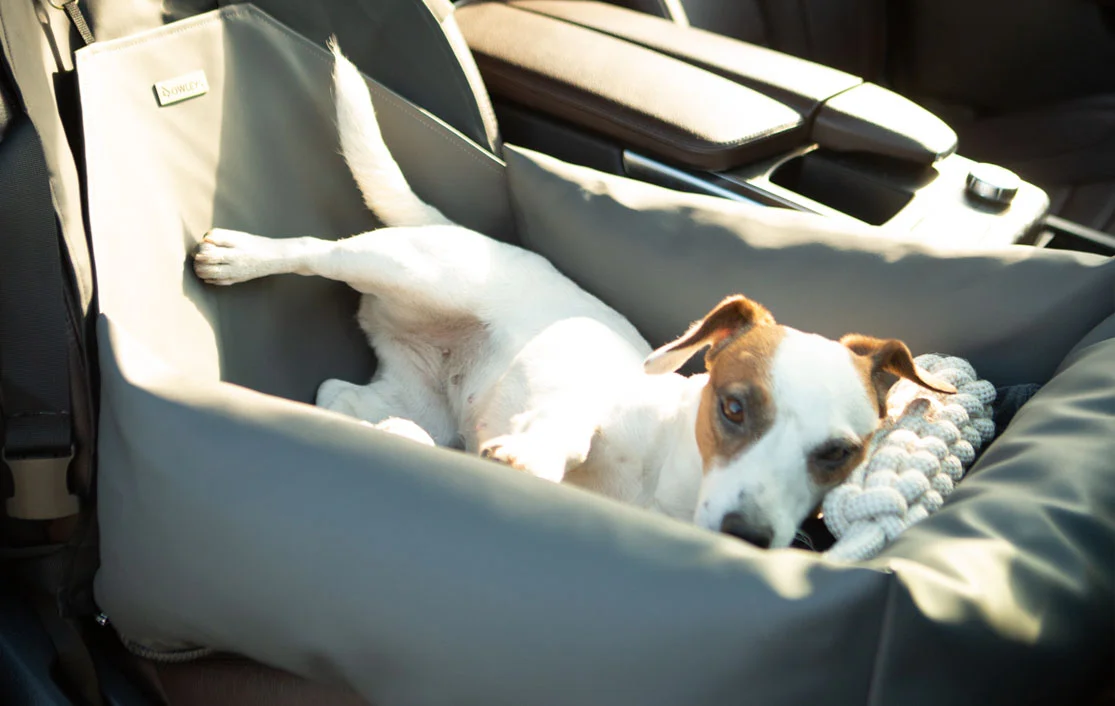 Dachshunds Dog Car Seat for Chevrolet Silverado