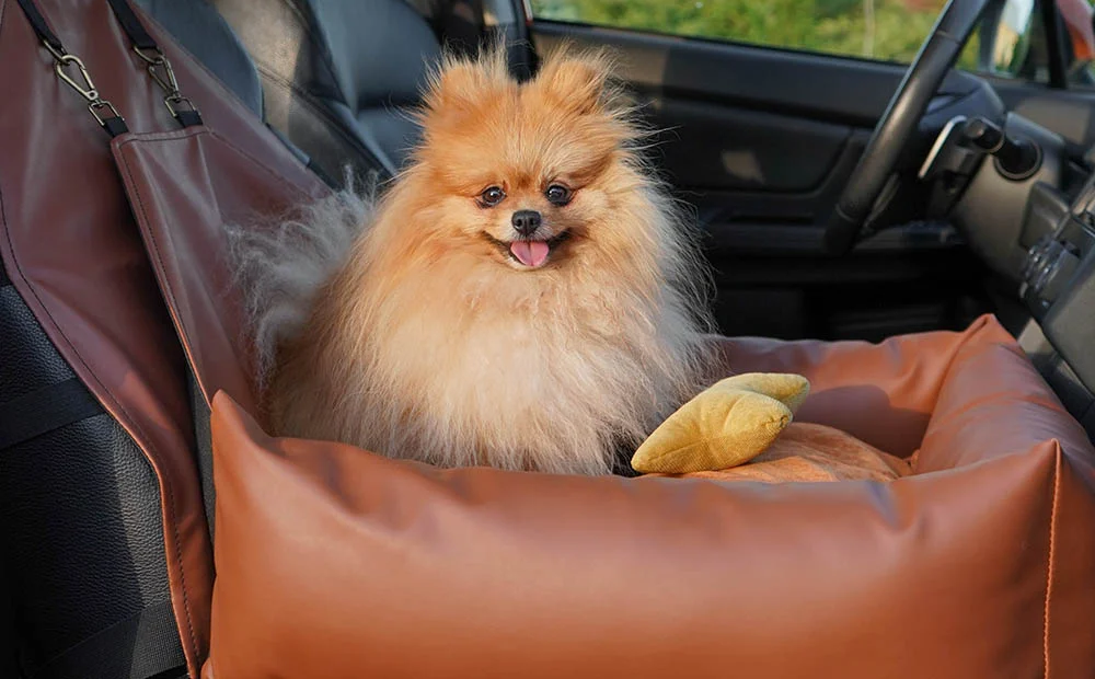 Pembroke Welsh Corgis Dog Car Seat for Ford EcoSport