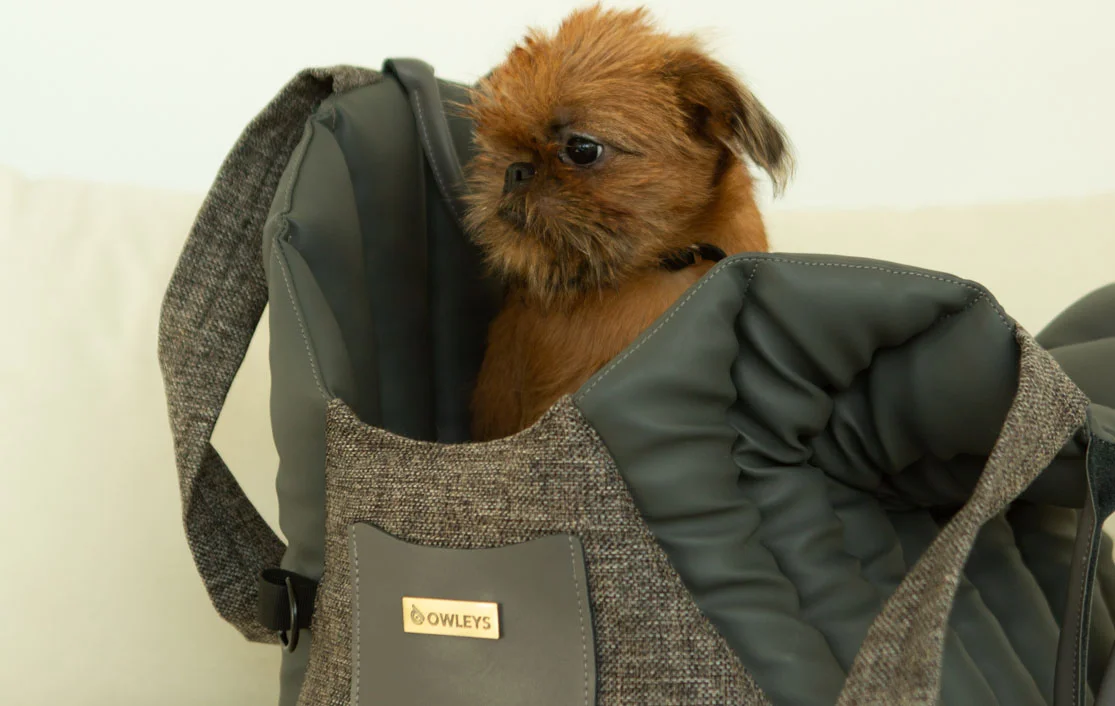 Dog Carrier Purse for Teddy Roosevelt Terrier