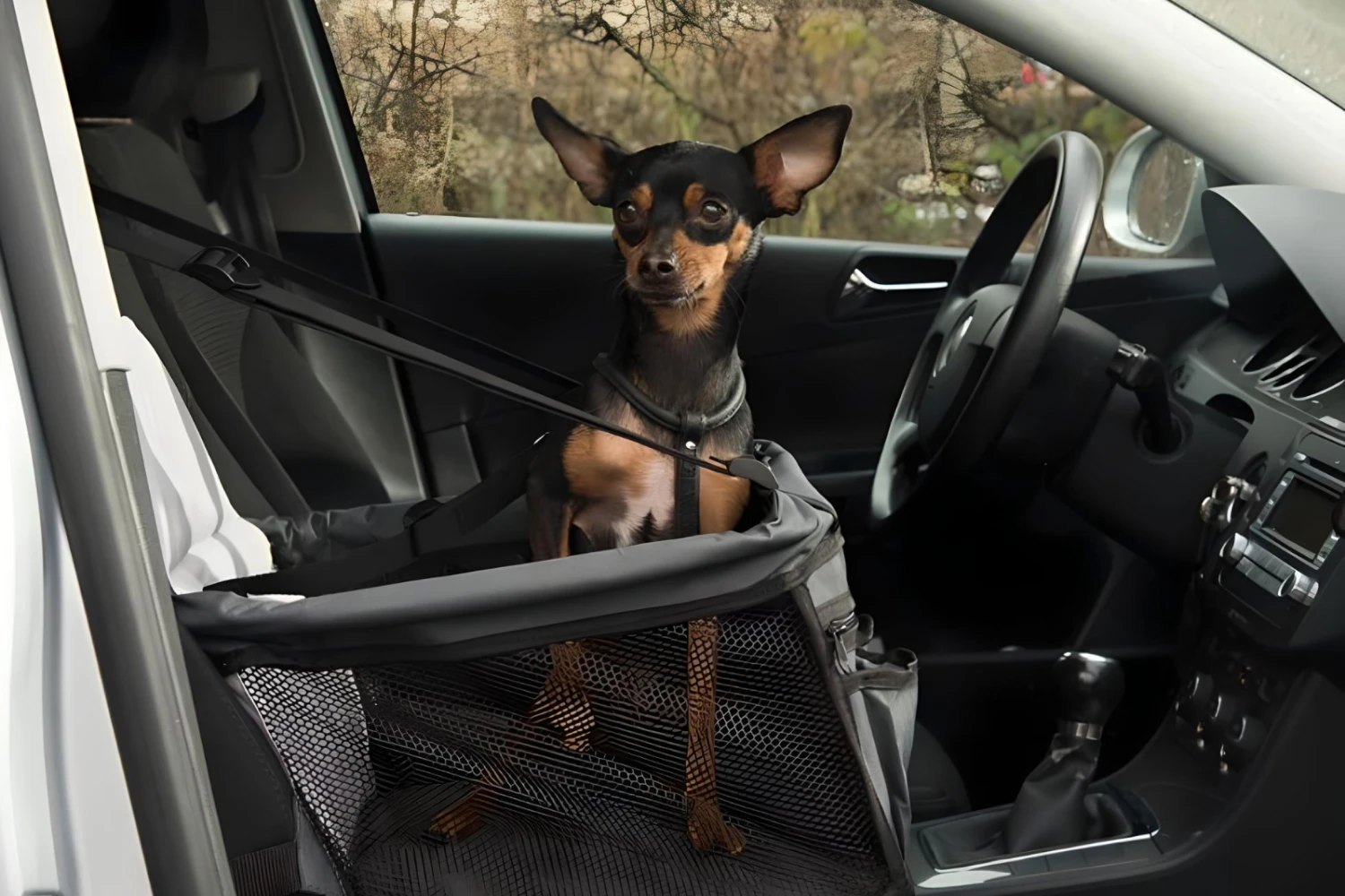Dog Carrier Purse for Toy Manchester Terrier