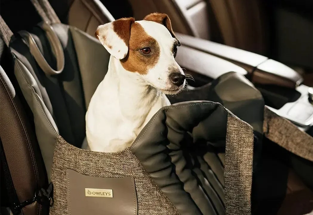 Volkswagen Golf Dog Carrier Car Seat for Toy Cocker Spaniel