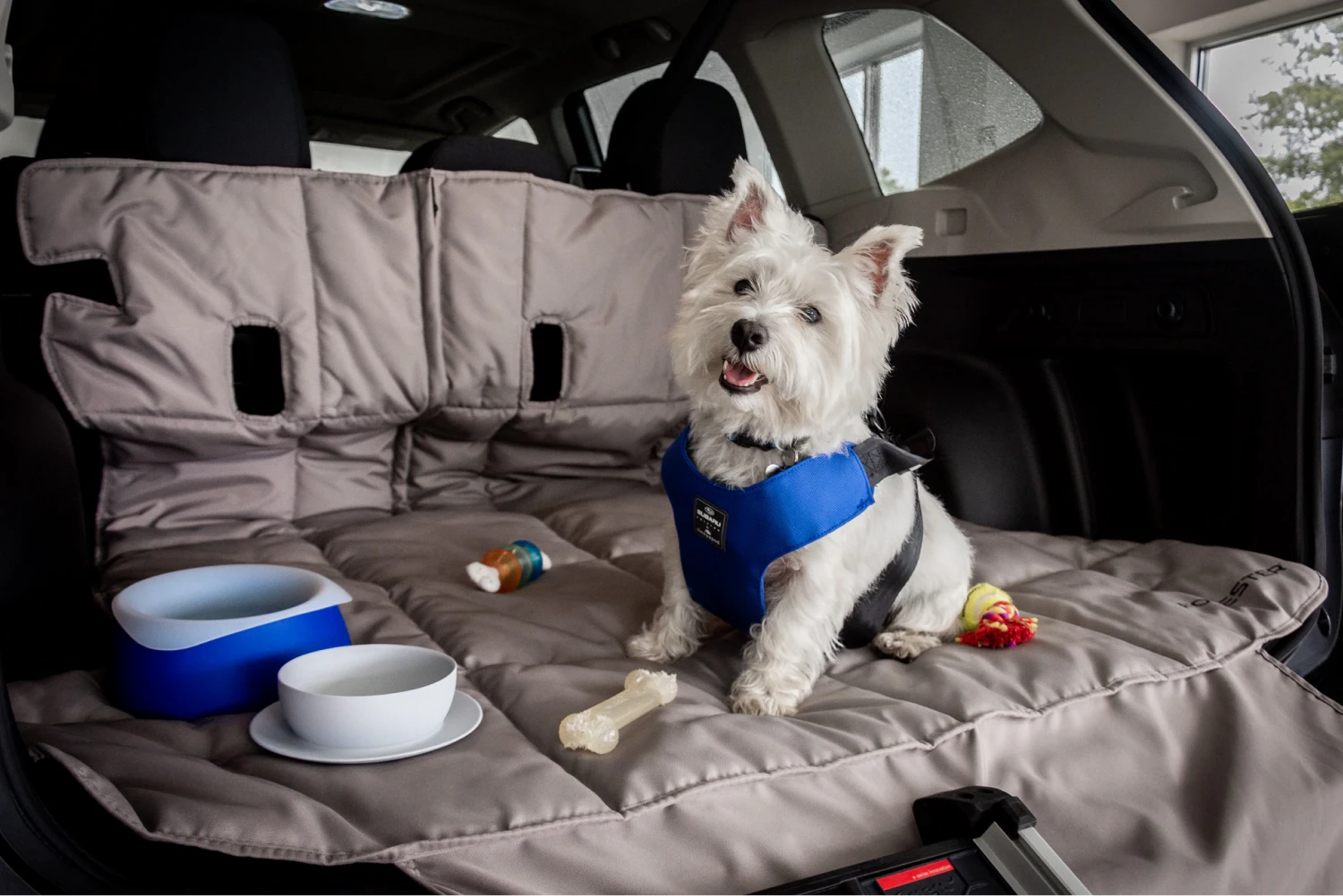 trash bin for Subaru Forester