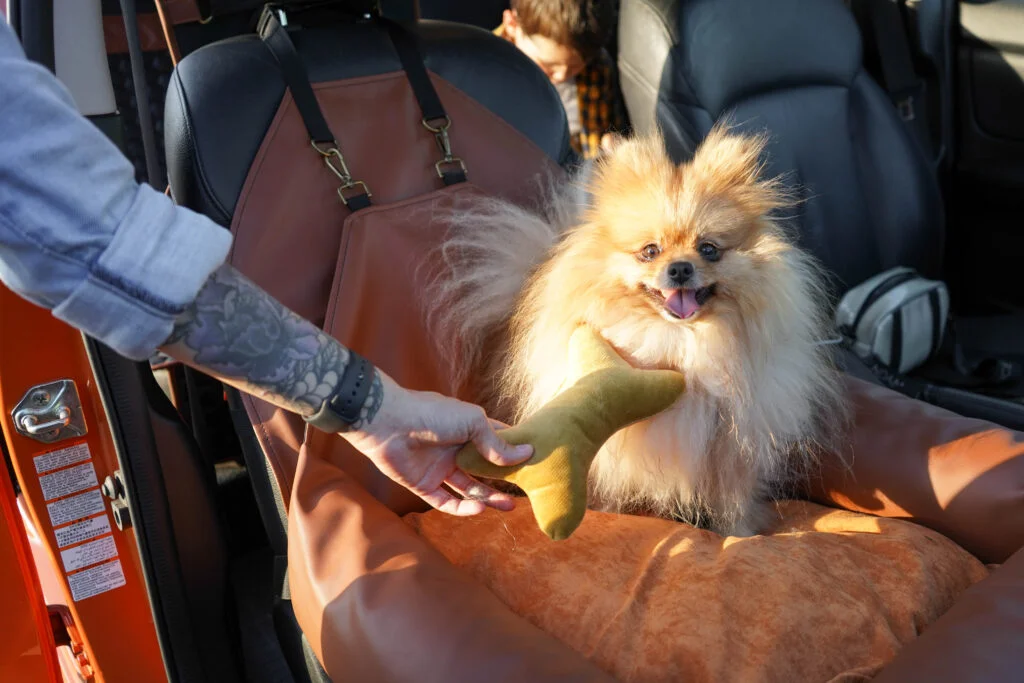 Lexus NX Dog Car Seat for Bolognese