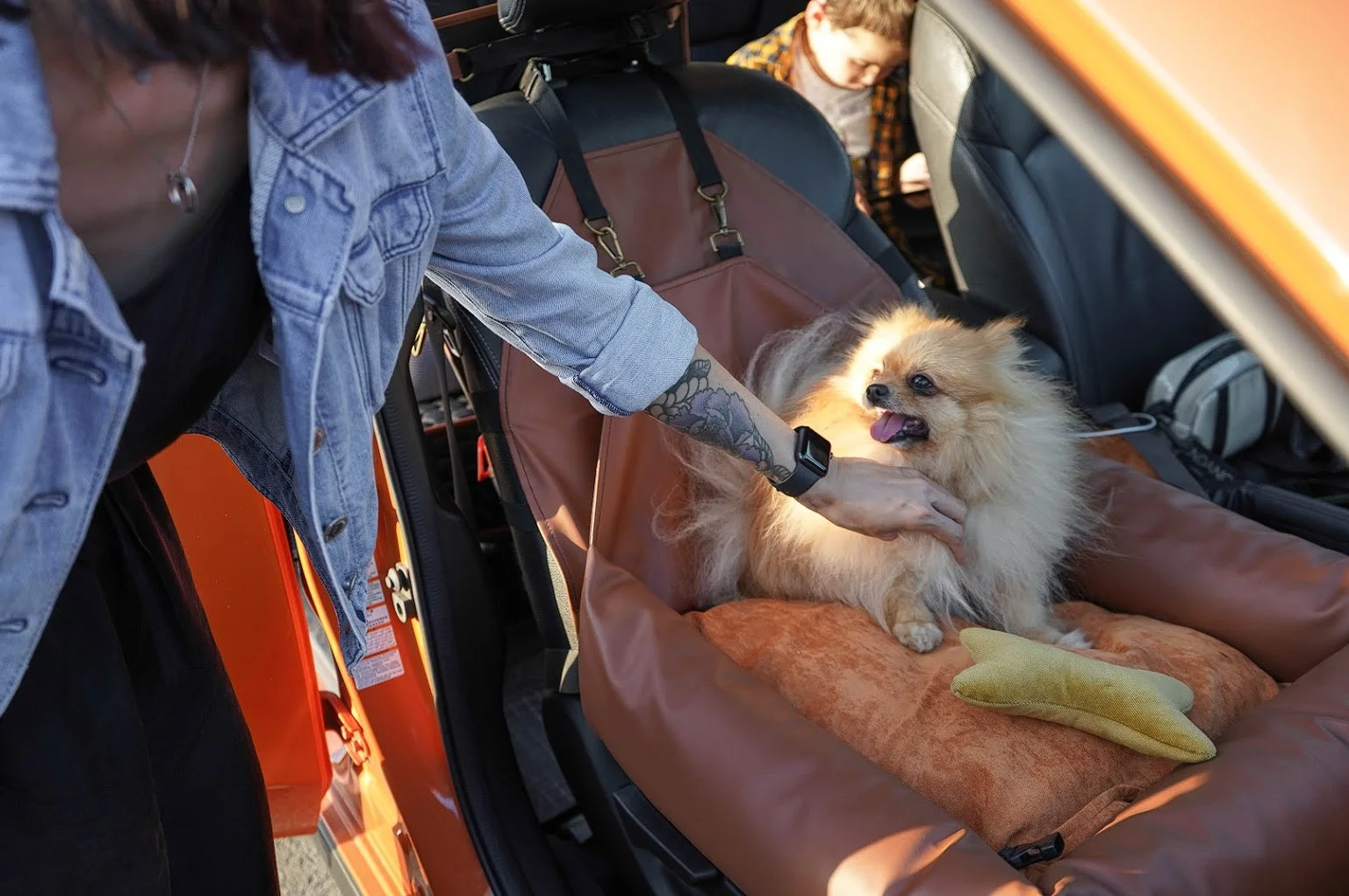 Dachshunds Dog Car Seat for Chevrolet Suburban